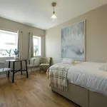 The Willow Studio 1